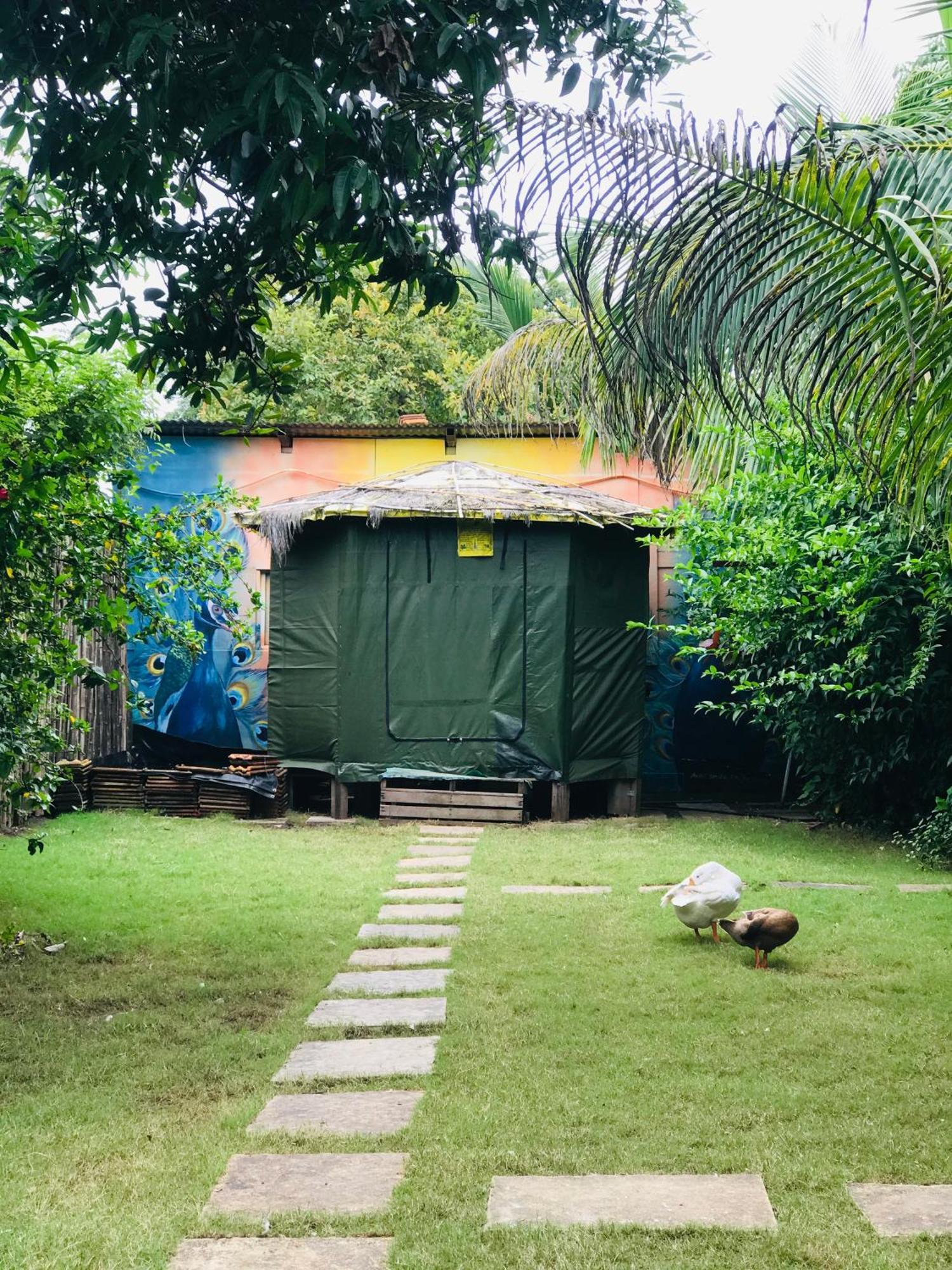 Ingawale Farmhouse 萨塔拉 外观 照片